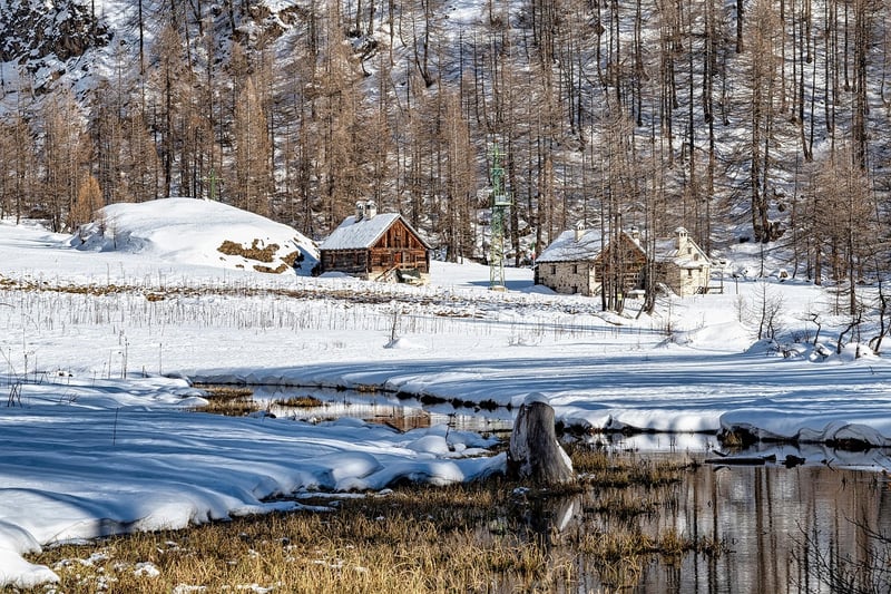 Rustic Lodge in the Woods